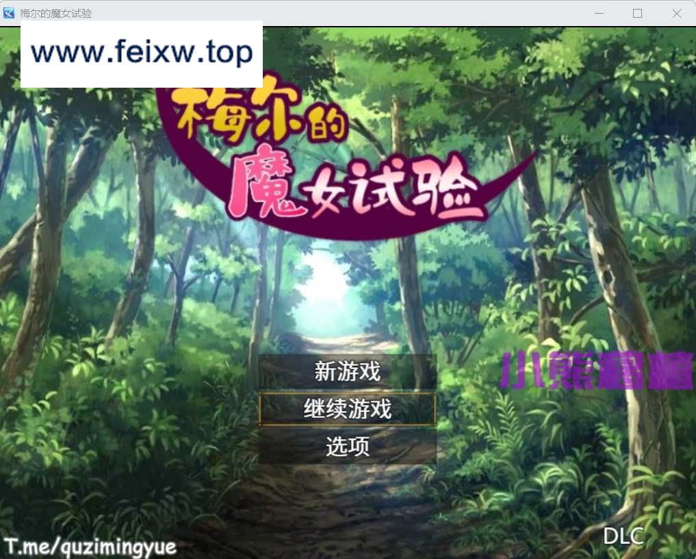 【RPG/官中/双端】梅尔的魔女试验 官方中文版+DLC【PC+安卓/700M】【百度网盘/秒传】-飞雪acg论坛