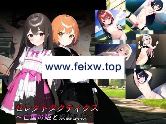 【SRPG/机翻】セレクトタクティクス ～亡国の姫と奴隷調教～ Ver1.04【1.6G/度盘】-飞雪acg论坛